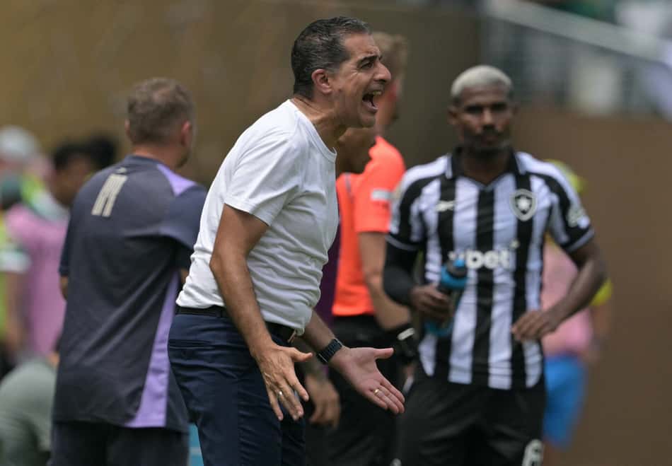 Renato Paiva, ex-técnico do Botafogo (Foto: Juan Mabromata/AFP)