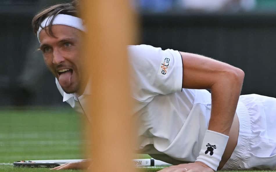 Zebras promovem feito incomum em Wimbledon; entenda