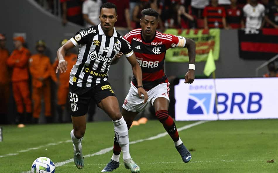 Santos x Flamengo pelo Brasileirão: retrospecto e estatísticas