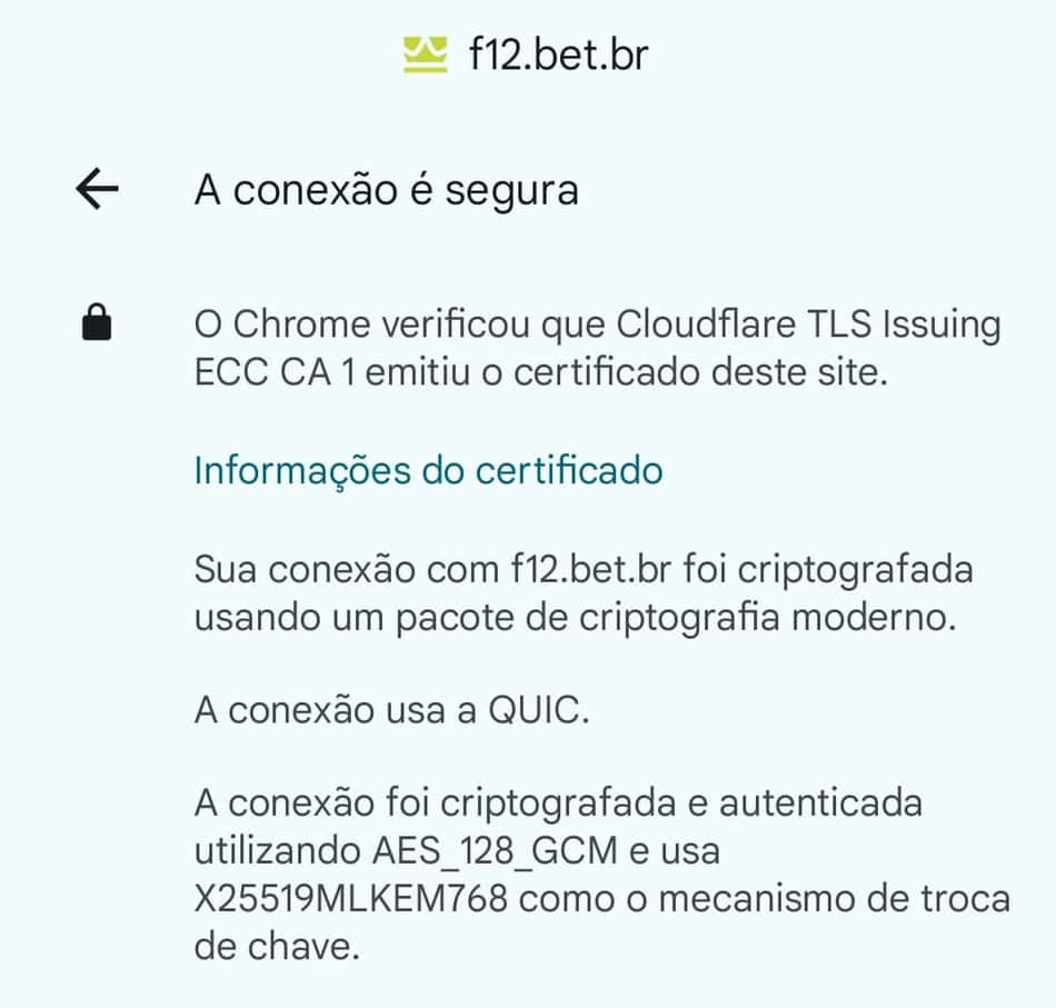 Captura de tela do protocolo HTTPS certificando