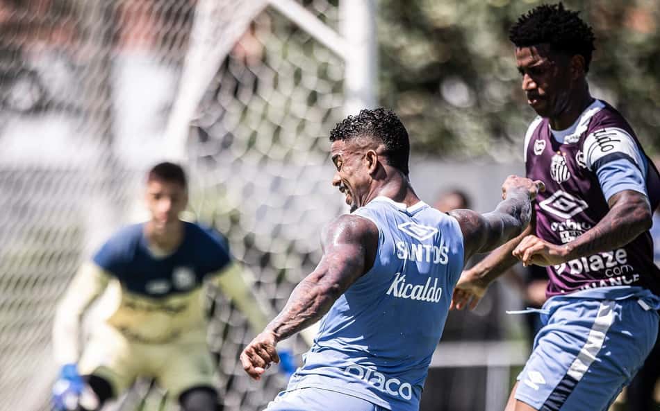 Hayner pode deixar o Santos (Foto: Raul Baretta/ Santos FC)