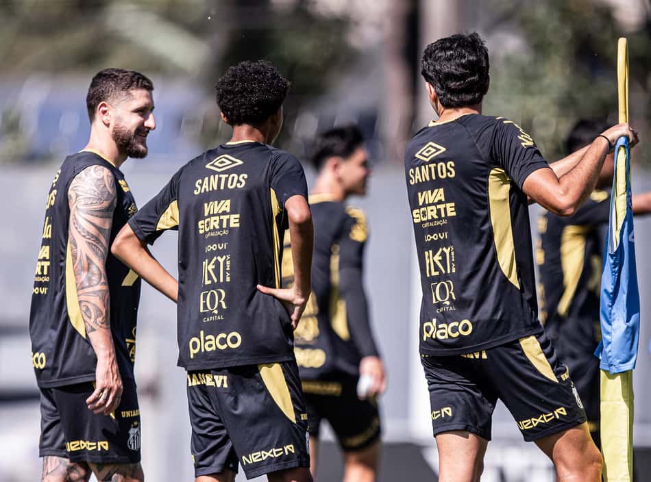 Santos busca voltar a vencer no Brasileirão (Foto: Raul Baretta/ Santos FC)