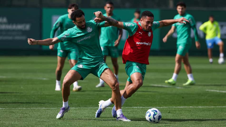 O Palmeiras é o terceiro colocado do Brasileirão com 32 pontos. (Foto: Cesar Greco/ Palmeiras)