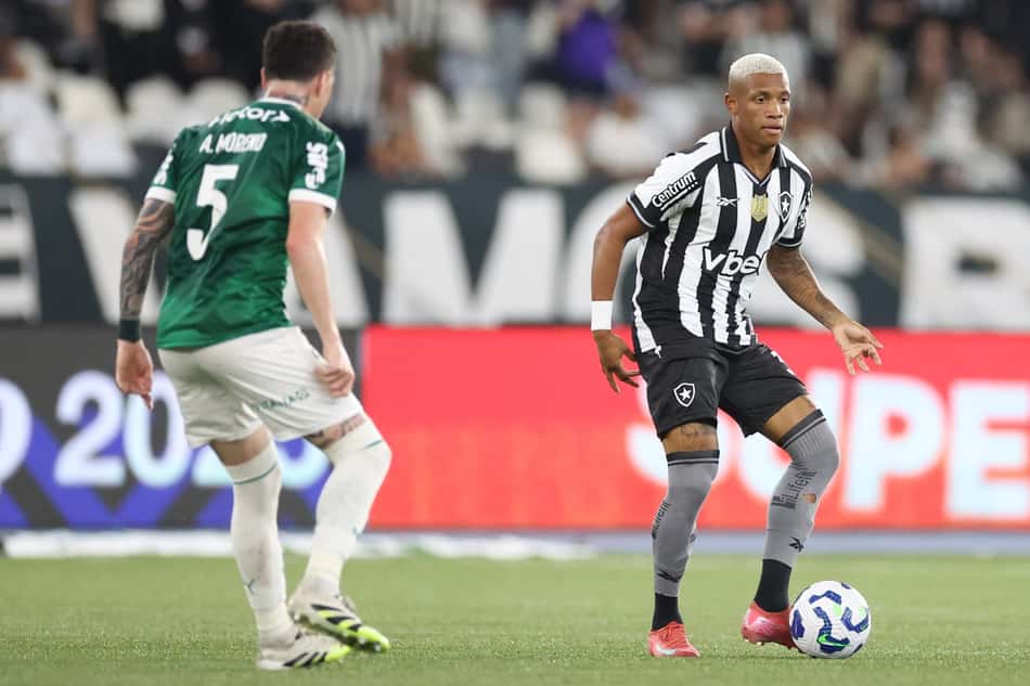 Danilo em ação contra o Palmeiras (Foto: Vitor Silva/Botafogo)