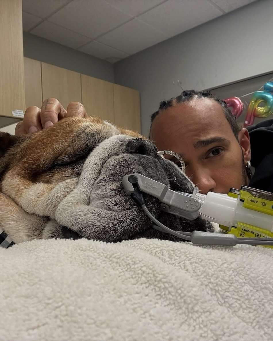 Lewis Hamilton e seu cachorro, Roscoe (Foto: Reprodução Instagram)