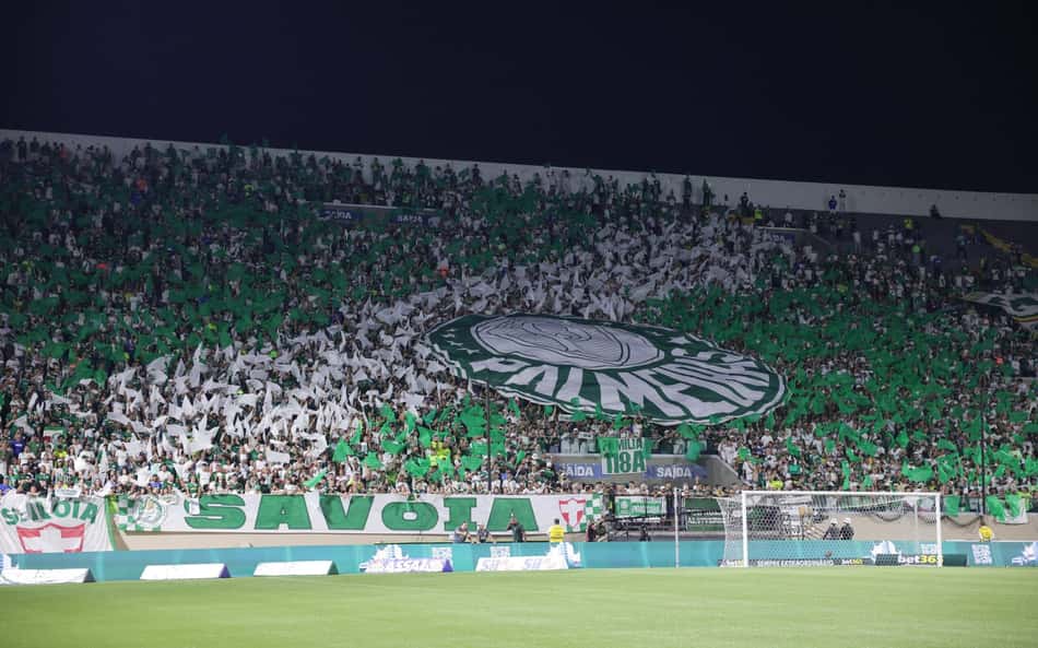 PALMEIRAS TORCIDA