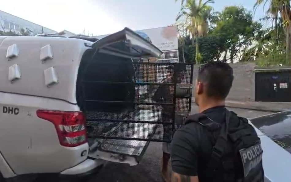 Presidente de organizada do Flamengo é preso no Rio (Foto: Reprodução)