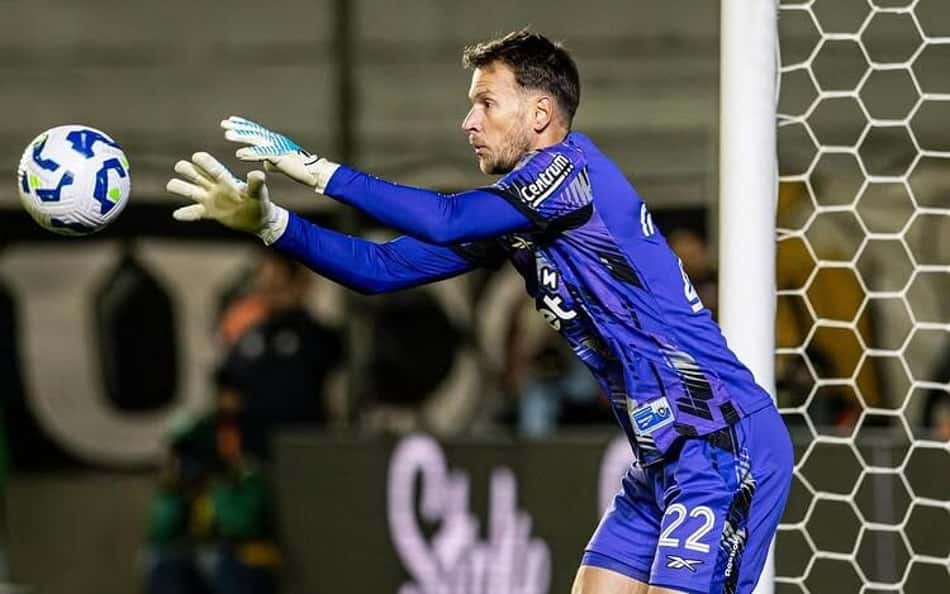 Neto é o novo goleiro do Botafogo (Foto: Vítor Silva/Botafogo)