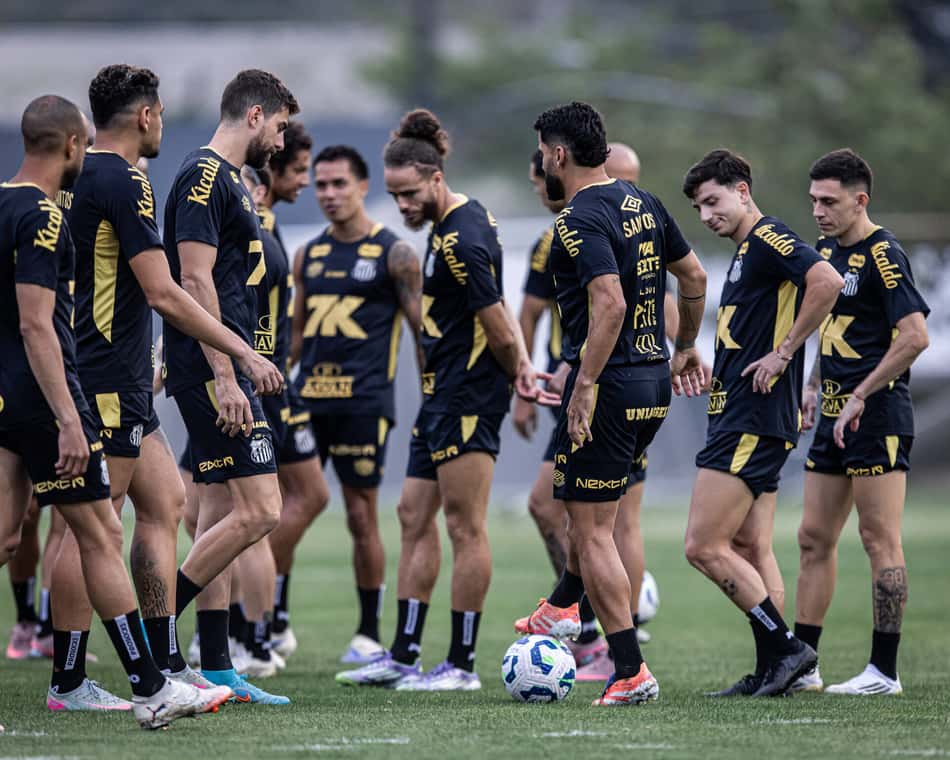Santos tem cinco pendurados relacionados para o confronto contra o Ceará (Foto: Raul Baretta/ Santos FC)