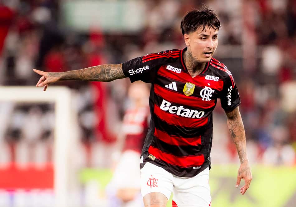 Pulgar durante Flamengo x Botafogo no Estádio Nilton Santos (Foto: Adriano Fontes/Flamengo)