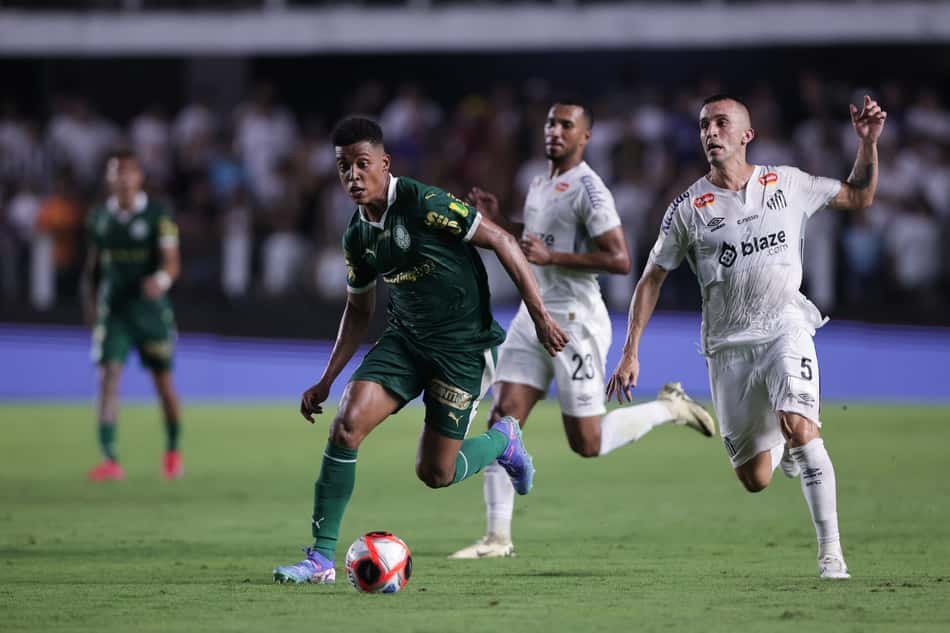 O Santos e o Palmeiras jogaram pelo Paulistão, na Vila Belmiro. (Foto: Ettore Chiereguini/AGIF)
