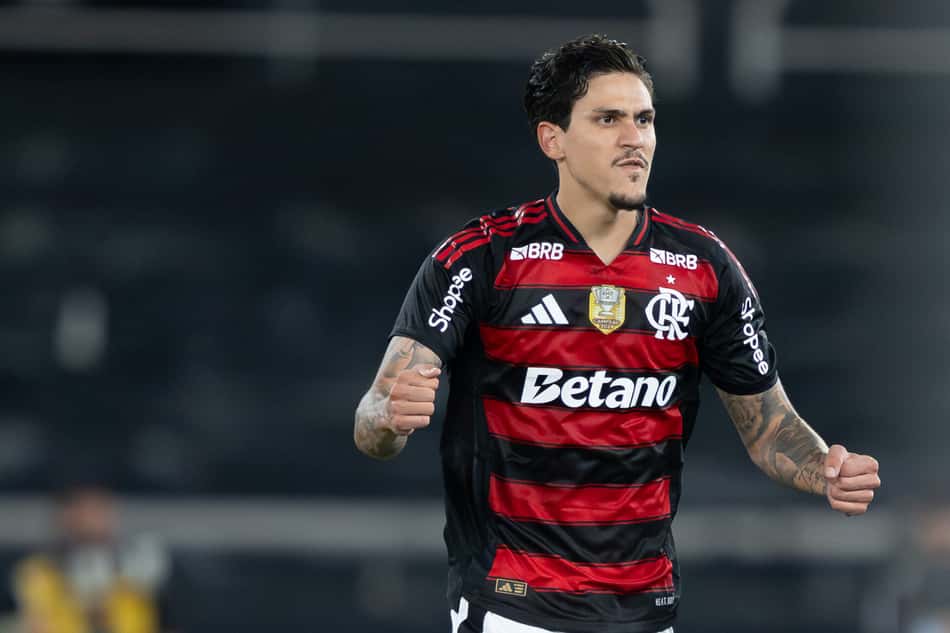 Pedro comemora gol do Flamengo contra o Botafogo (Foto: Jorge Rodrigues/AGIF)