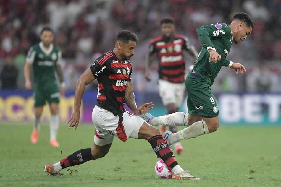 Flamengo venceu o Palmeiras no Brasileirão (Foto: Thiago Ribeiro/AGIF)