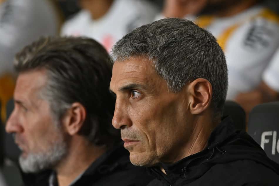 Vojvoda, técnico do Santos