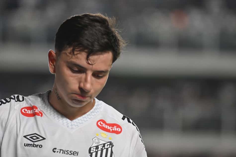 Santos está em risco no Brasileirão (Foto: Jota Erre/AGIF)