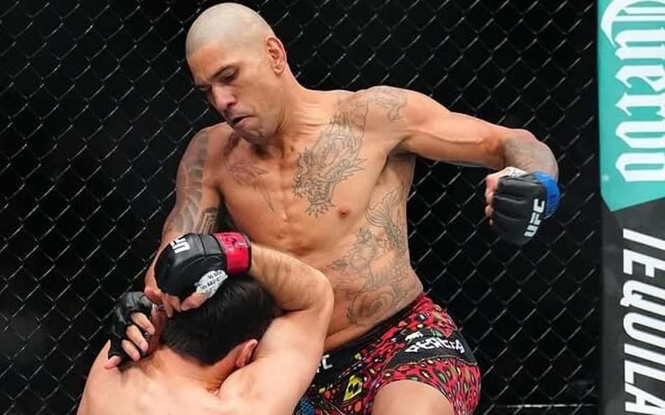 Gigantes da NBA comemoram com Poatan após título do UFC; veja