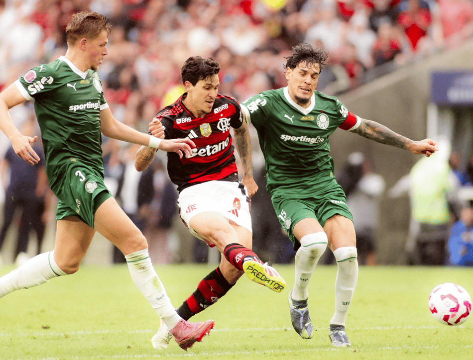 Flamengo x Palmeiras, no Maracanã (Foto: Adriano Fontes/Flamengo)
