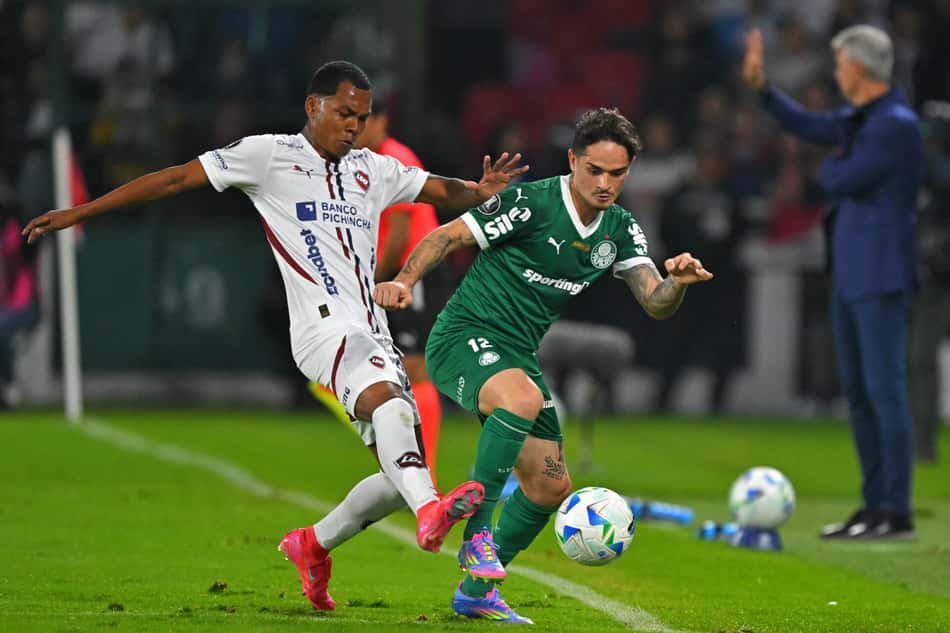 Palmeiras LDU Libertadores bets