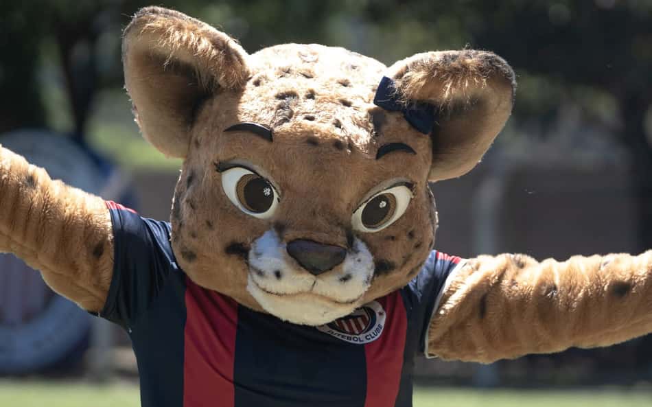 Clube de Minas Gerais lança mascote exclusivo para equipe feminina; veja fotos