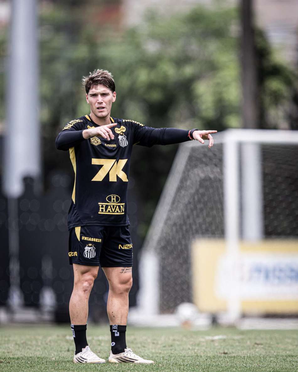 Rollheiser acumula 28 jogos com a camisa do Santos nesta temporada. (Foto: Marcello Zambrana/AGIF)
