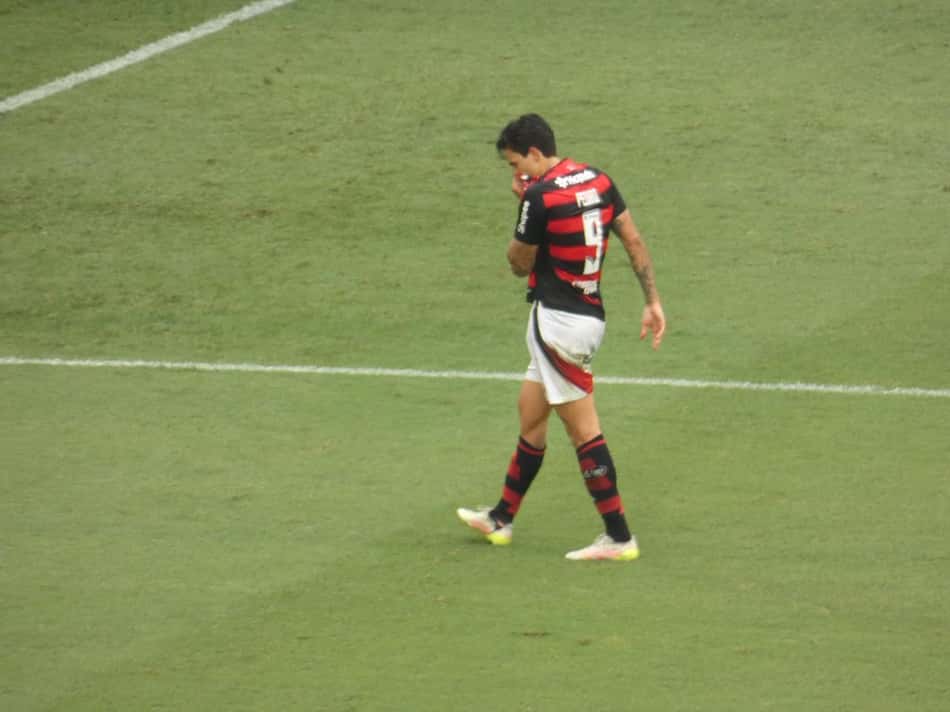 Pedro comemora gol do Flamengo contra o Palmeiras (Foto: Lucas Bayer/Lance!)