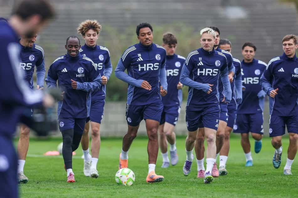 schalke 04 x