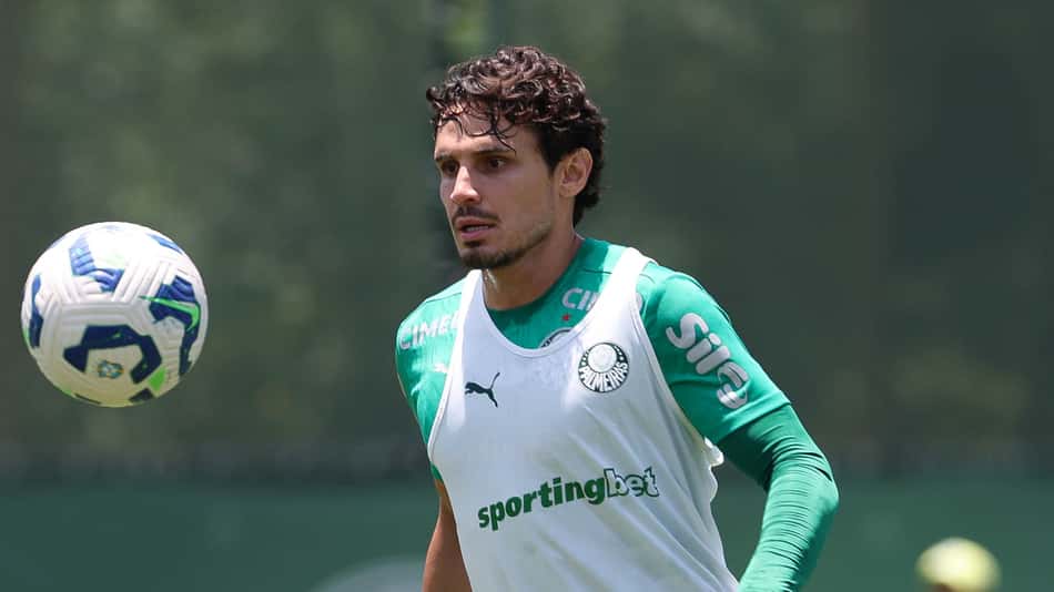 Veiga - Palmeiras