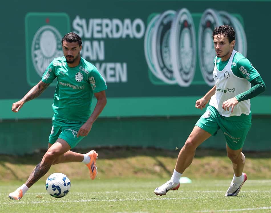 Veiga - Palmeiras