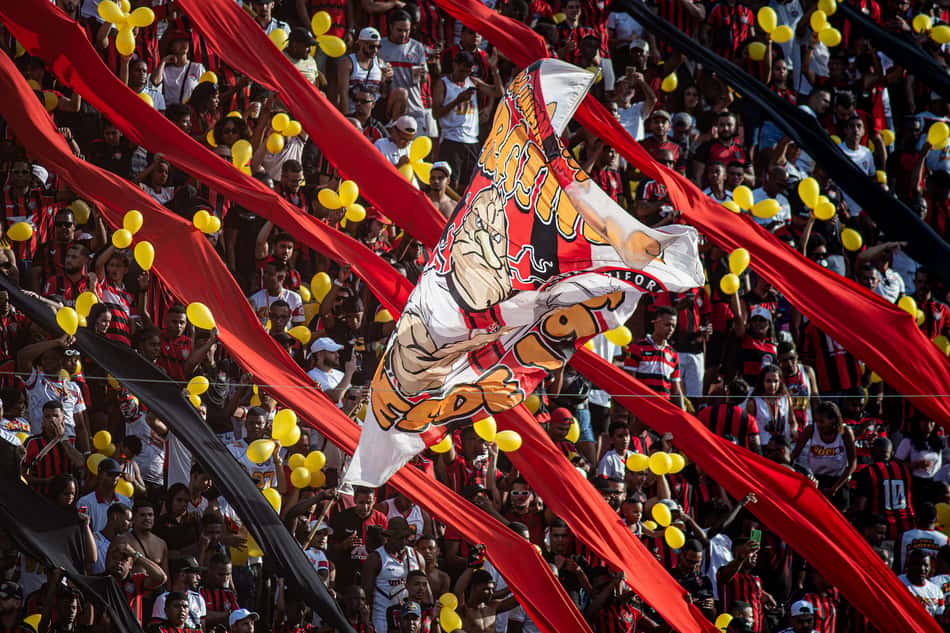Torcida do Vitória faz a festa no Barradão (Foto: Victor Ferreira / EC Vitória)