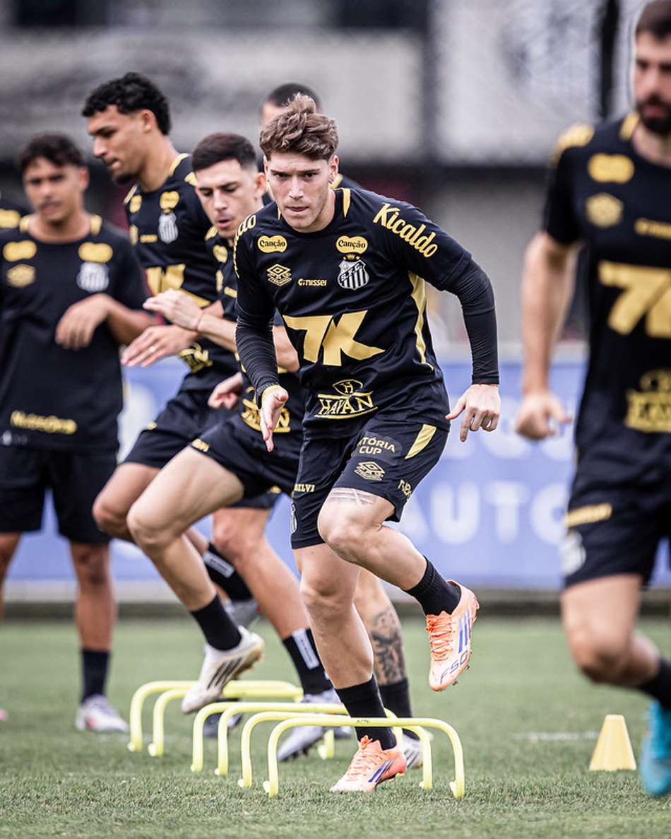Rollheiser foi autor do gol da vitória do Santos contra o Palmeiras. (Foto: Divulgação/ Santos FC)