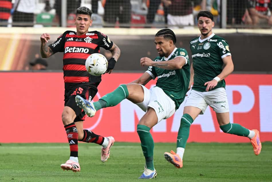 Palmeiras e Flamengo