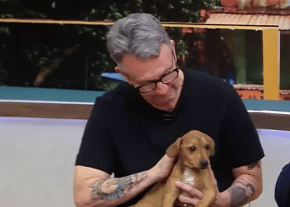 Craque Neto leva seu cachorro Ferreirinha ao programa Donos da Bola