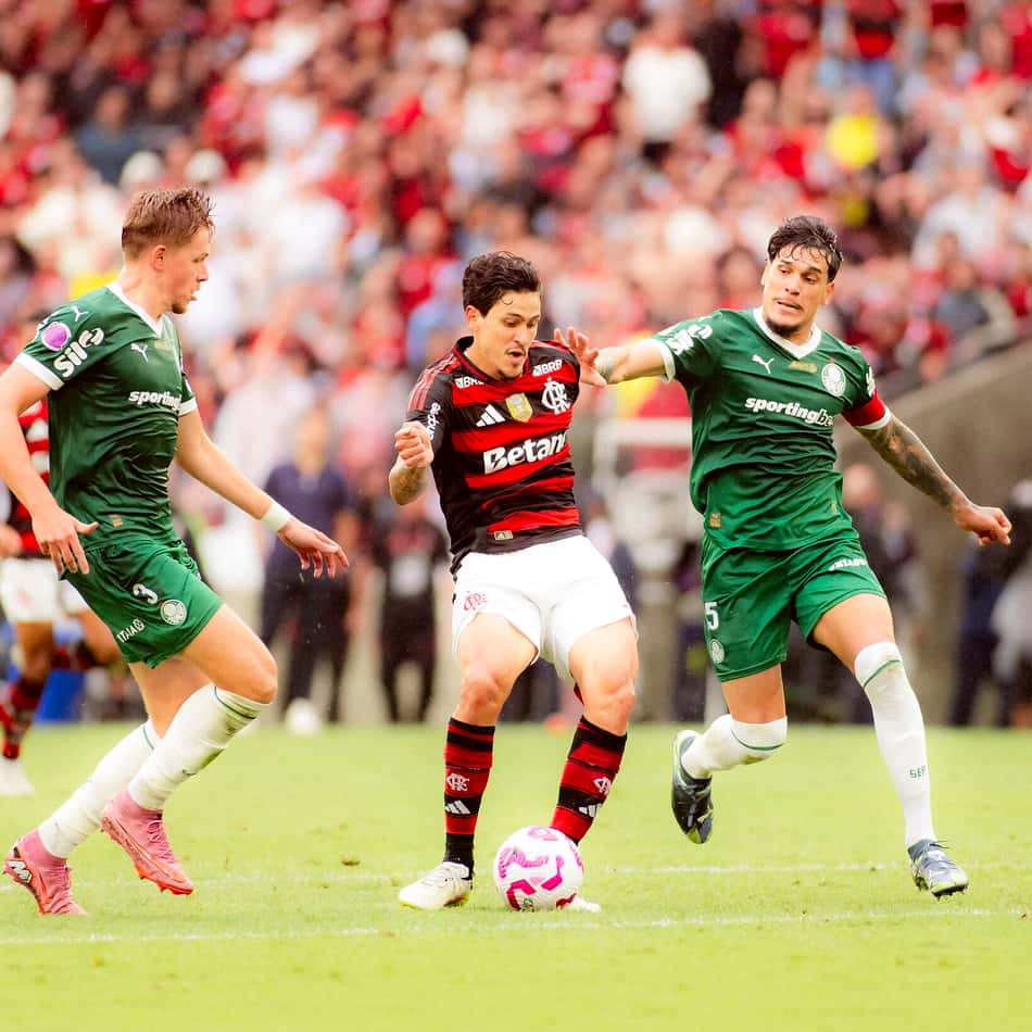 Flamengo x Palmeiras pelo Campeonato Brasileiro (Foto: Adriano Fontes/Flamengo)
