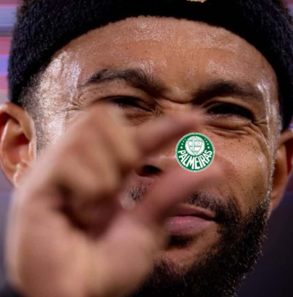 Memes Flamengo é campeão da Libertadores sobre o Palmeiras (1)