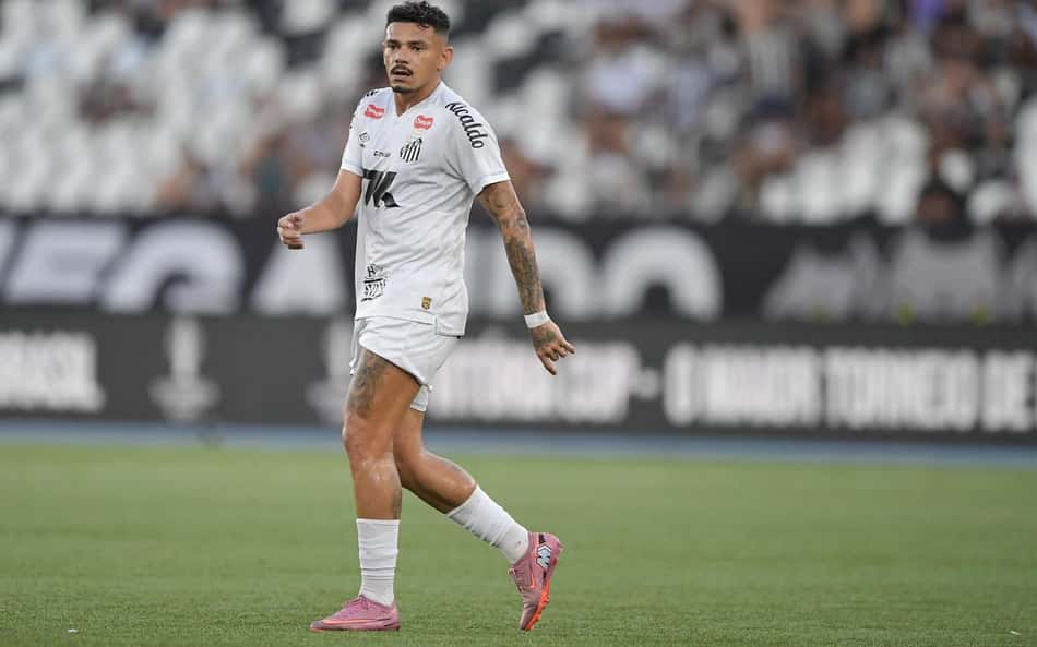 Tiquinho Soares tem 42 jogos com a camisa do Santos nesta temporada. (Foto: Thiago Ribeiro/Agif/Gazeta Press)