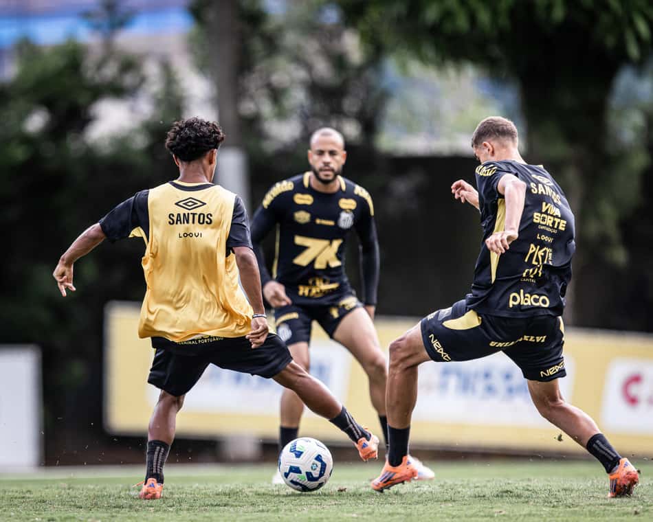 Santos foi a campo com reservas (Foto: Raul Baretta/ Santos FC)