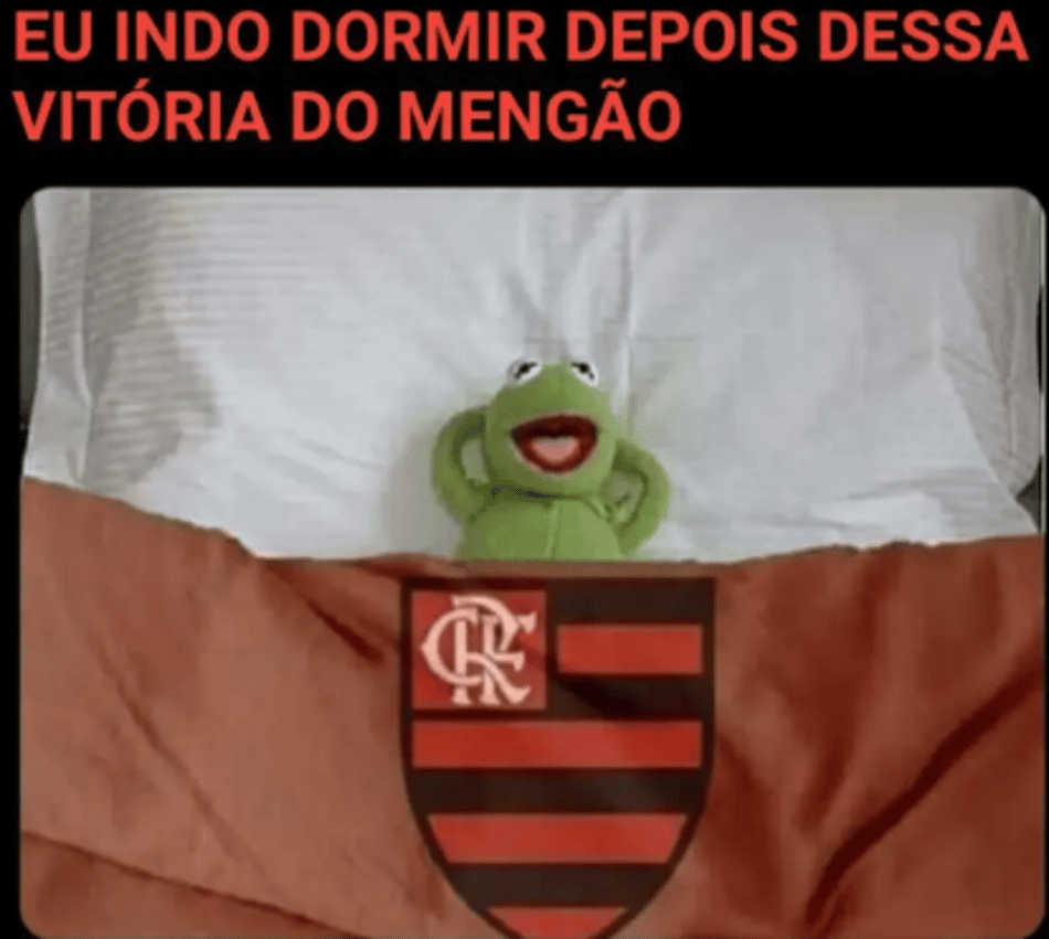 Memes do Flamengo para compartilhar com os amigos (1)