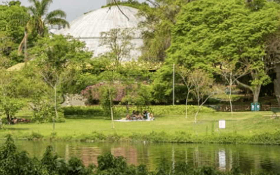 Ibirapuera destinará espaço a patins, skate e BMX (Reprodução)