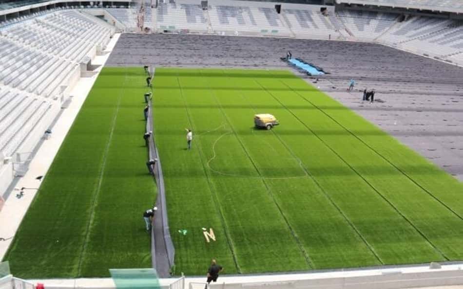 Palmeiras x Flamengo: Entre ciência e política, gramado sintético divide os clubes