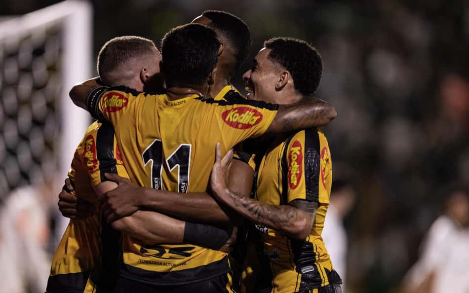 Jogadores do Novorizontino comemoram gol contra o Palmeiras (Foto: Douglas Moreti/Agência F8/Gazeta Press)