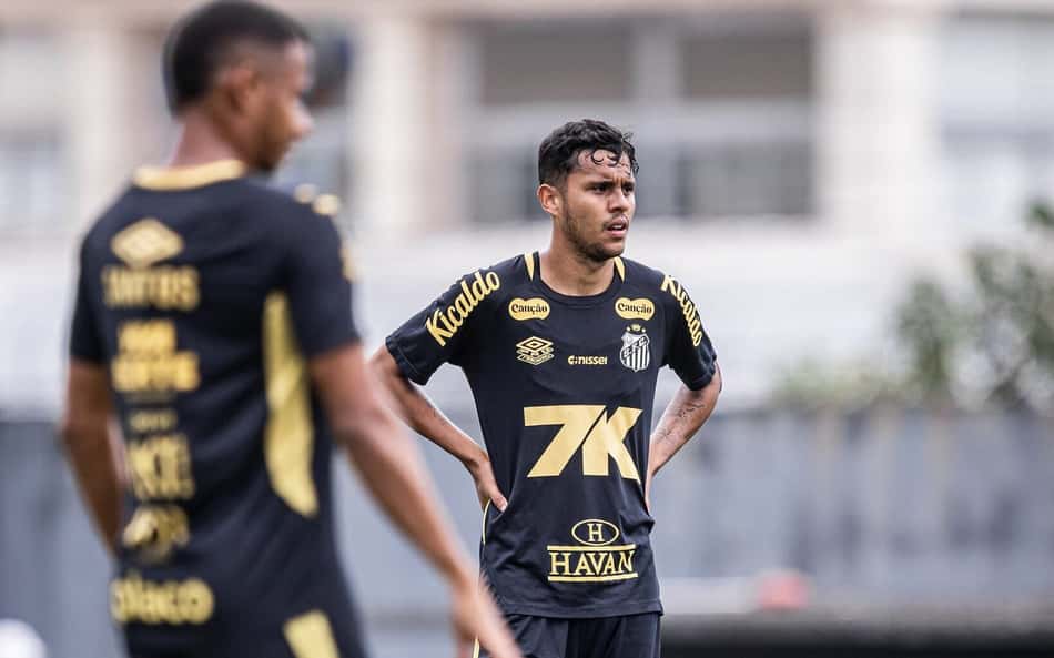 Hyan está de saída do Santos (Foto: Raul Baretta/ Santos FC)
