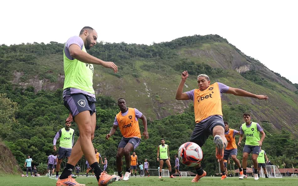 Botafogo no Carioca: confira o planejamento da equipe