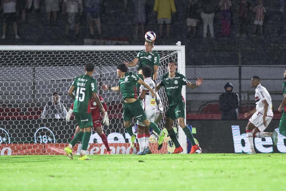 Botafogo-SP venceu o Palmeiras (Foto: (Foto: Erick De Laia Antunes/Photo Premium/Gazeta Press)