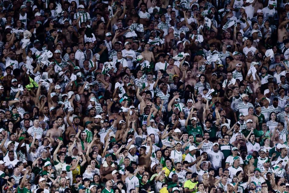 Mais de 21 mil torcedores prestigiam a vitória do Palmeiras diante do Capivariano, pelo Paulistão. (Foto: Marcello Zambrana/ Agif/Gazeta Press)