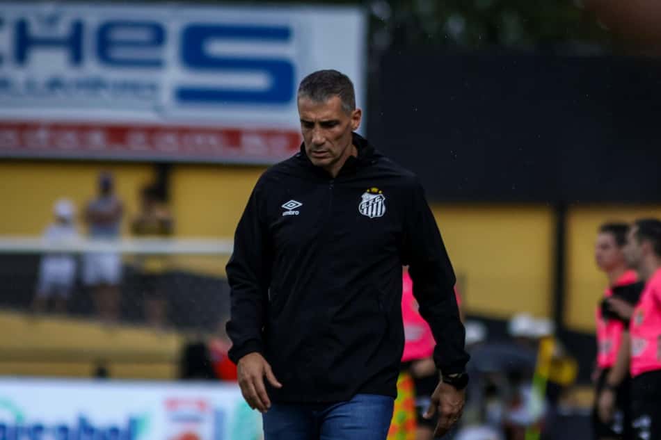 Vojvoda comandou o Santos em 30 jogos e tem apenas 9 vitórias. (Foto: Higor Basso/RP FOTOPRESS)
