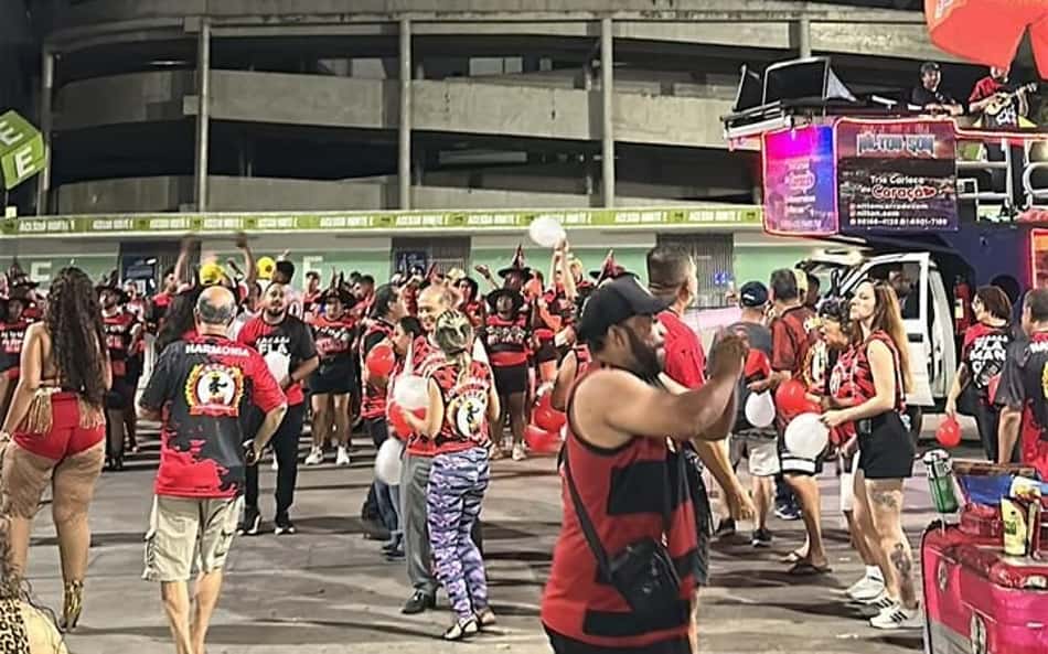 Carnaval: veja os enredos das escolas de samba ligadas à torcida do Flamengo