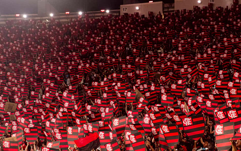 Lúcio de Castro: ninguém quis tanto ser 'o mais querido quanto o Flamengo'