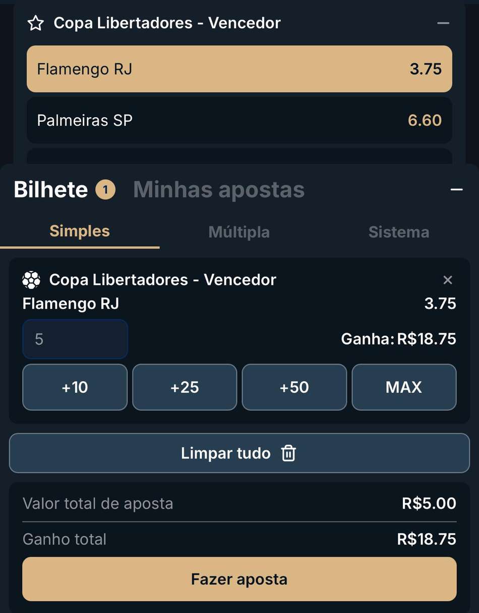 Captura de tela do bilhete de apostas na Libertadores da Estrela Bet.