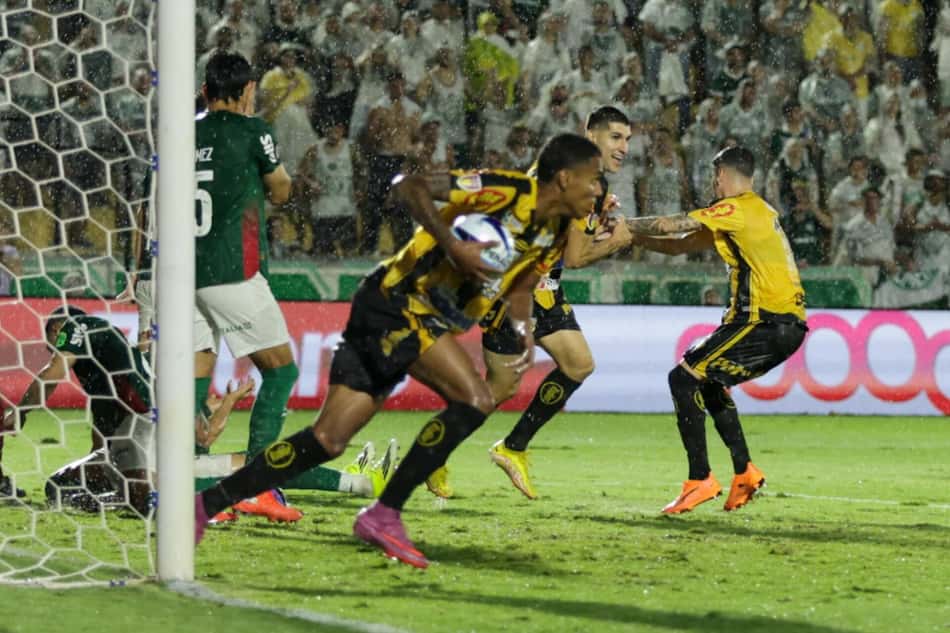 Novorizontino empata a partida diante do Palmeiras. (Foto: Fernando Vieira Sa/Agência F8/Gazeta Press)