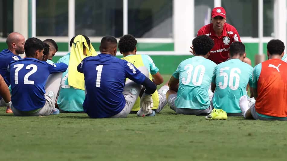Palmeiras - elenco - Paulinho